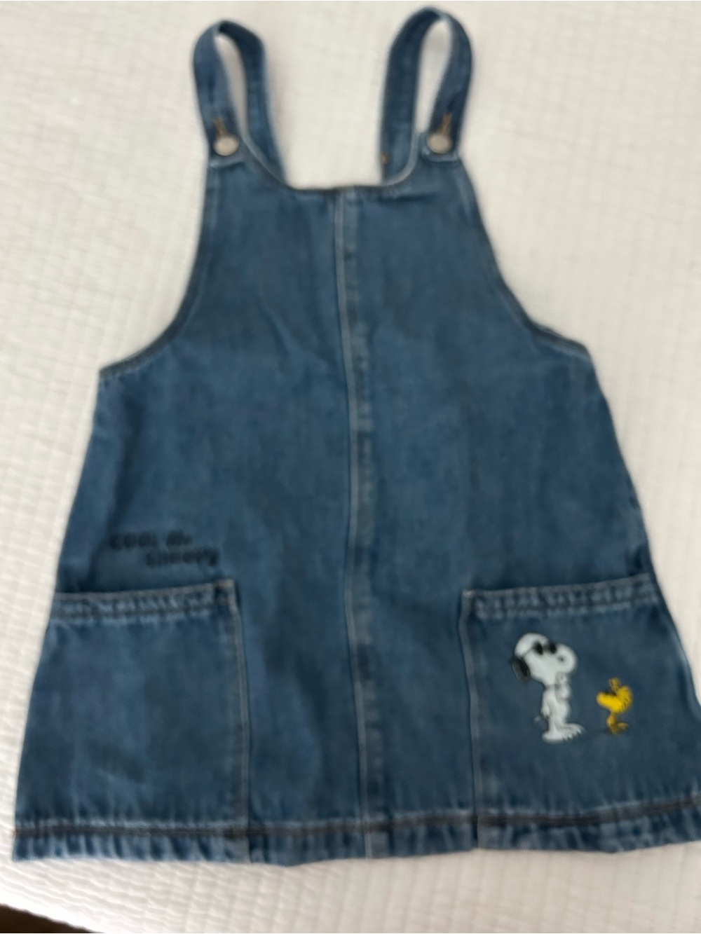 Denim Snoopy Pocket Overall Dress